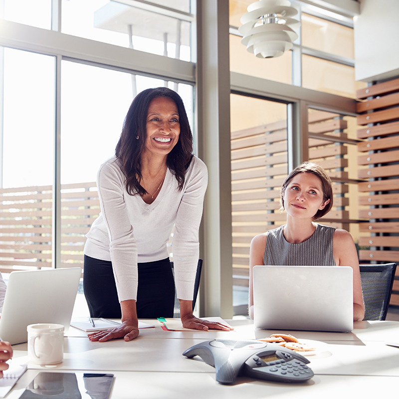 Menopause Audit for Corporate Partners 