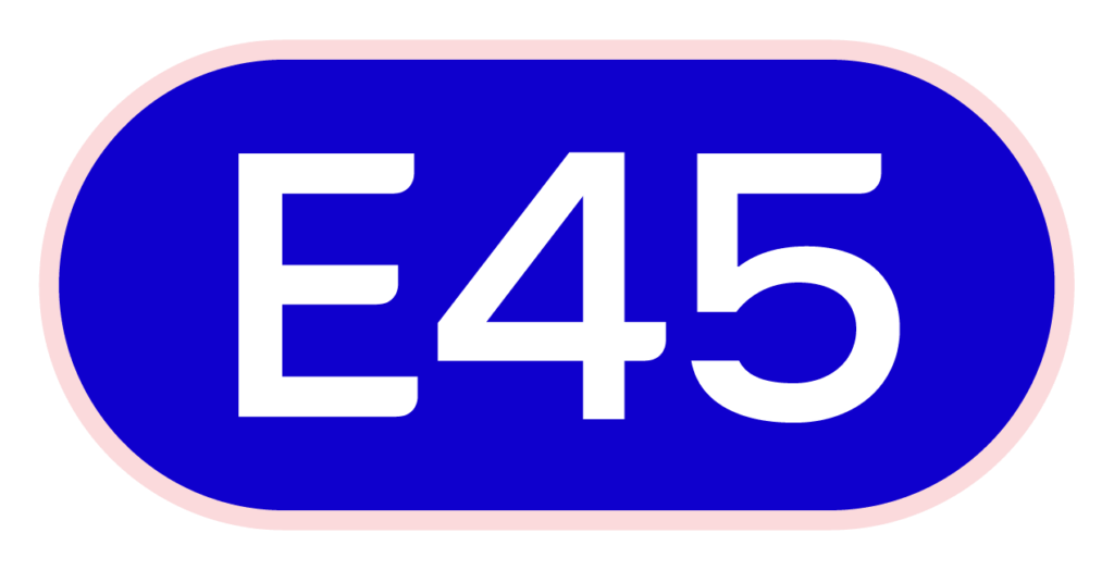 E45 - GenM Partner
